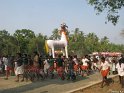 mangad-pooram-2011 (8)